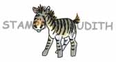D-44 Sm. Zebra